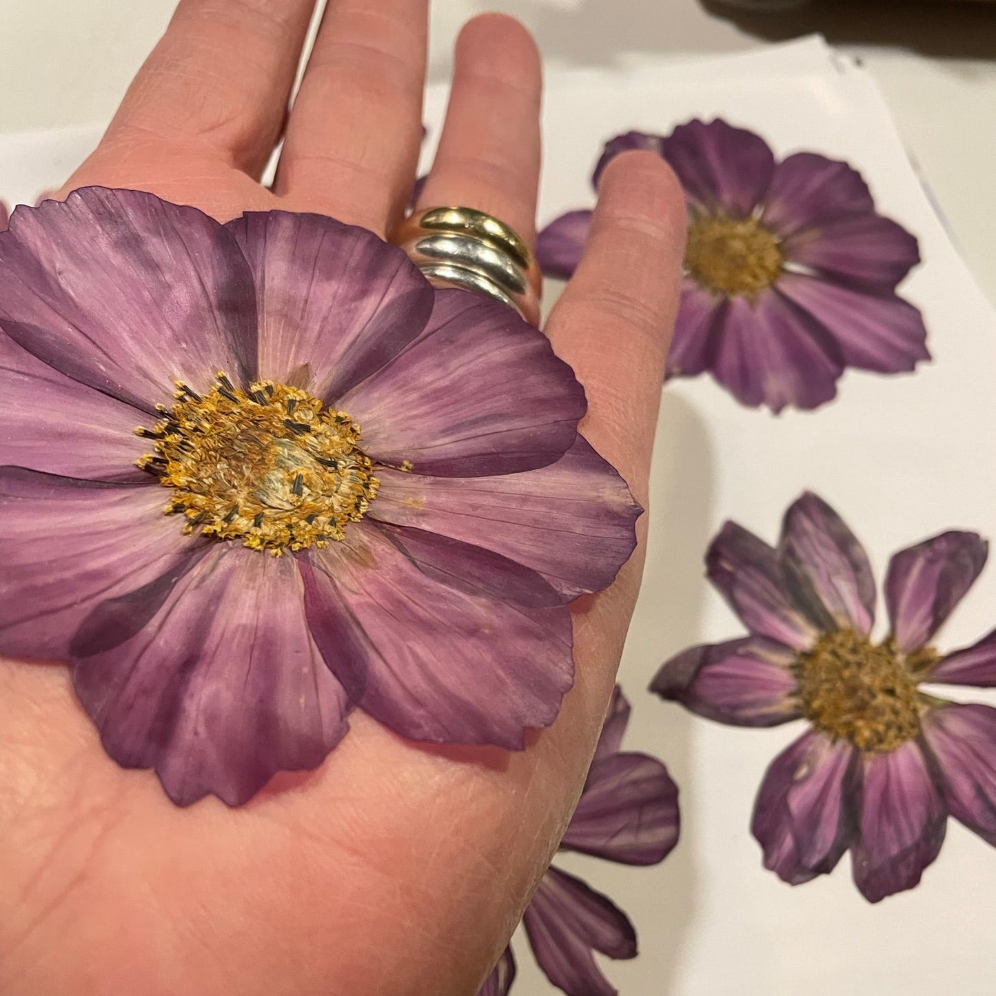 WORKSHOP🌿 Lær at presse økologiske blomster fra Fridas Have og få din egen blomsterpresse med hjem