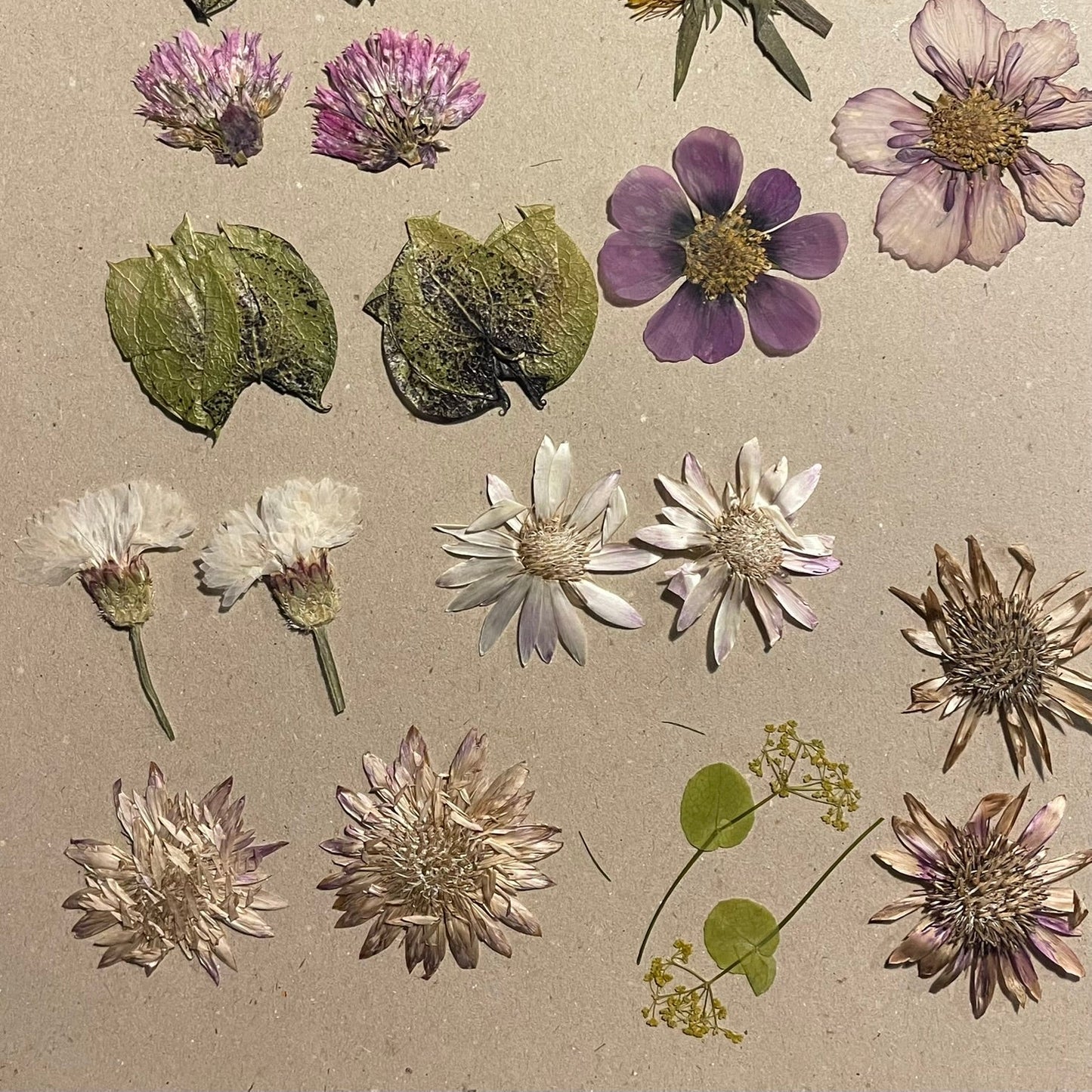 WORKSHOP🌿 Lær at presse økologiske blomster fra Fridas Have og få din egen blomsterpresse med hjem