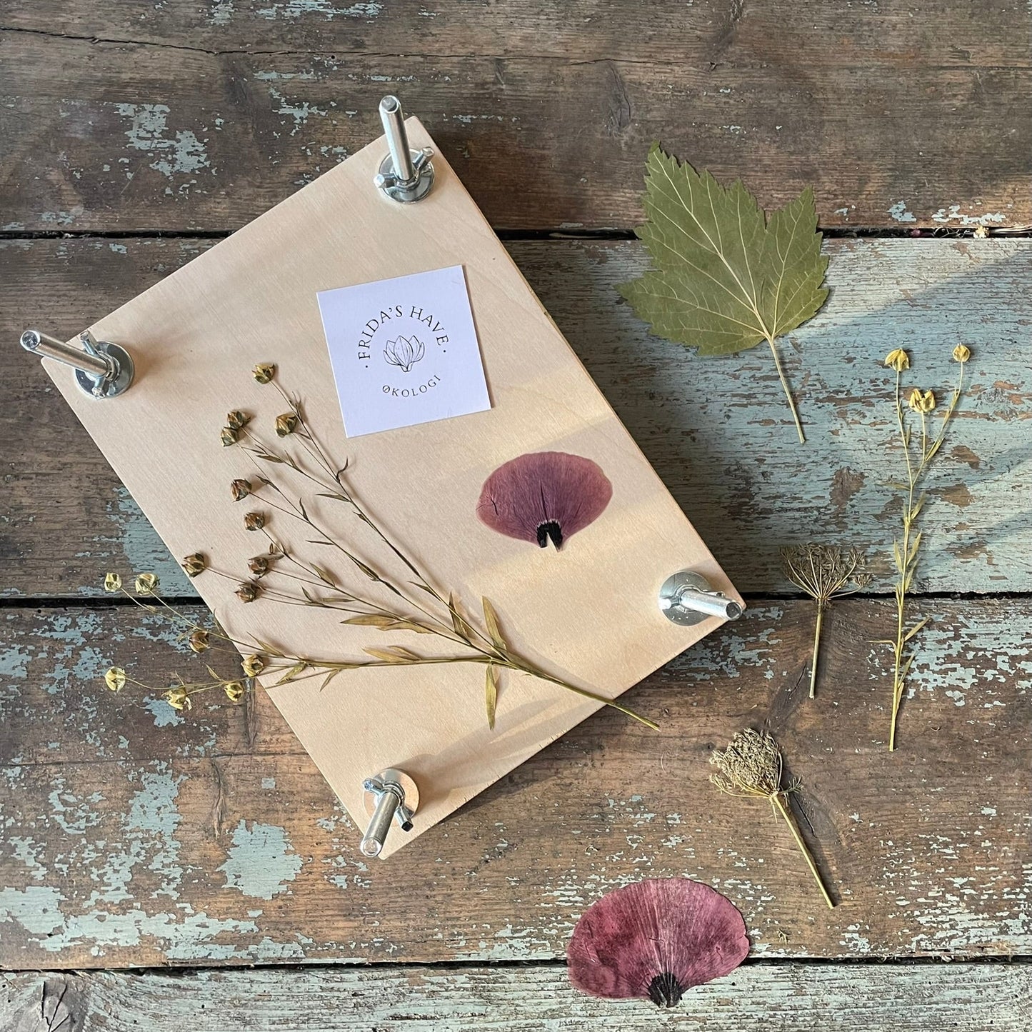 WORKSHOP🌿 Lær at presse økologiske blomster fra Fridas Have og få din egen blomsterpresse med hjem