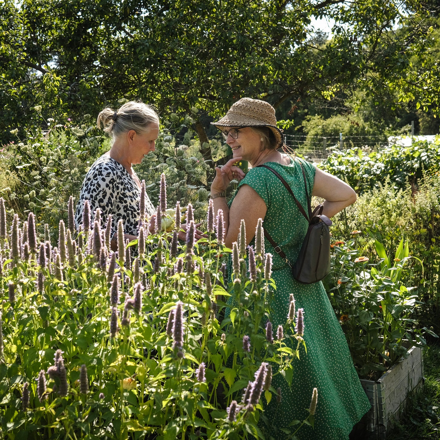 WORKSHOP🌿 Bind din egen store buket af økologiske blomster fra Fridas Have (inkl. havevandring)