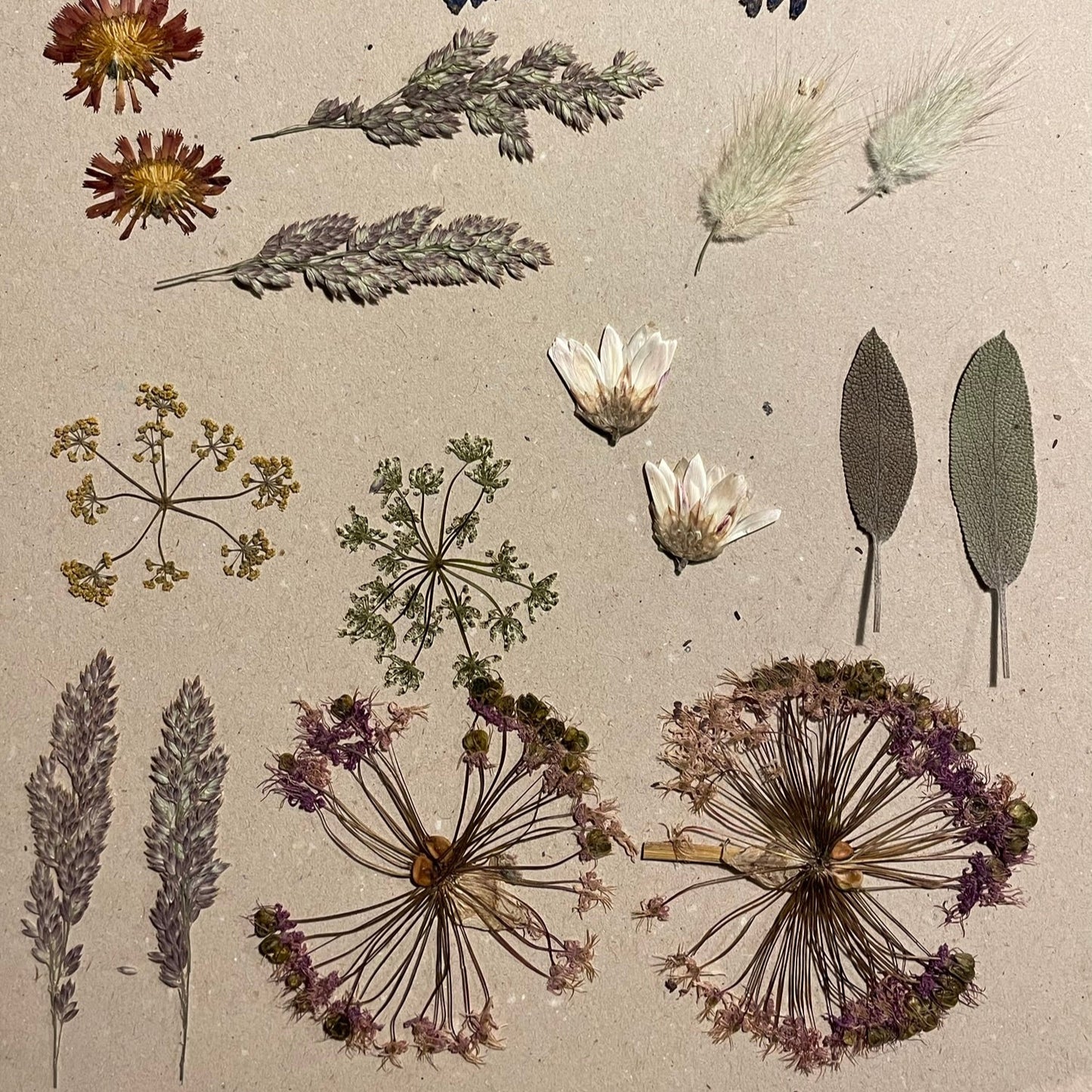 WORKSHOP🌿 Lær at presse økologiske blomster fra Fridas Have og få din egen blomsterpresse med hjem